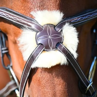 Gekruiste paardenneusriem Jump'In Wednesday