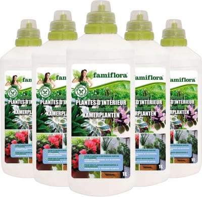 Famiflora Meststof voor kamerplanten 5L (5 x 1L) - Geschikt voor groene en bloeiende planten voor een weelderige urban jungle - Rijkelijke bloei zorgt dat je planten er altijd op hun best uitzien