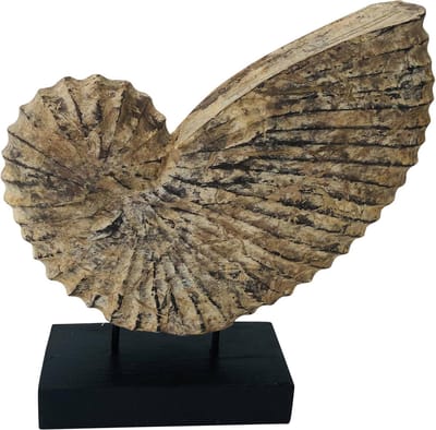 shell on stick | 30x9x30 | beige