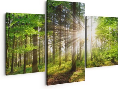 Artaza Canvas Schilderij Drieluik Bos met Zon tussen de Bomen - 150x120 cm - Groot - Wanddecoratie Woonkamer - Schilderijen - Muurdecoratie