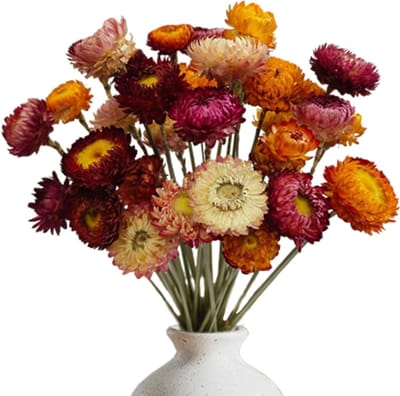 Natuurlijke Gedroogde Bloemen Mix van 20 Stuks voor Decoratie, Boeketten en DIY Bloemstukken voor Bruiloften en Creatieve Ambachten