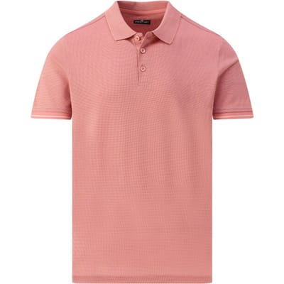 State of Art Polo