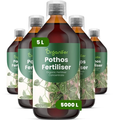 Vloeibare Meststof Voor Pothos 5X1 L Voor 5000 L - Npk 2-1-8 - Ondersteunt Gelijkmatige Rankgroei En Dicht Blad - Verbetert Wortelactiviteit - Verbetert De Tolerantie Voor Omgevingsstress Binnenshuis - Organifer