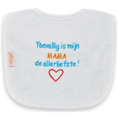 Slab met "Toevallig is mijn MAMA de allerliefste"