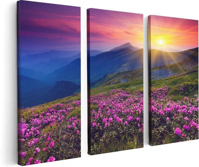 Artaza Canvas Schilderij Drieluik Roze Rhododendron Bloemenveld - Bergen - 120x80 - Foto Op Canvas - Canvas Print