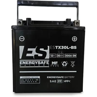 Batterij Energy Safe ESTX30L-BS