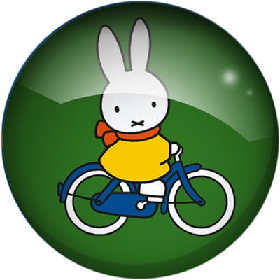 Koelkastmagneet - Glasmagneet Nijntje - Rond Groen & Blauwe Fiets - 3cm
