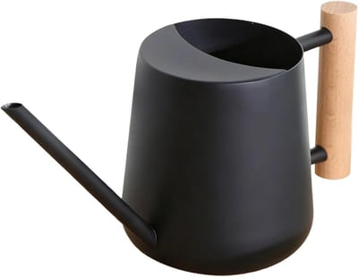 Decoratieve zwarte roestvrijstalen gieter voor kamerplanten met houten handvat, ideaal voor bonsai en vetplanten, lange uitloop voor nauwkeurig watergeven