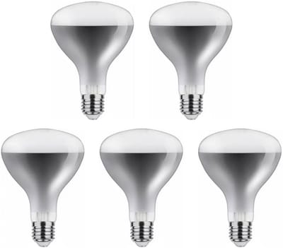 Asalite Infrarood Warmtelamp R125 E27 - 150W - 125mm - Helder Glas - 5 stuks