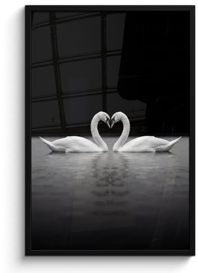 Poster in lijst - Fotolijst 60x90 cm - Posters - Zwanen - Hart - Zwart - Wit - Posterlijst zwart - Decoratie - Wanddecoratie woonkamer - Muurdecoratie slaapkamer