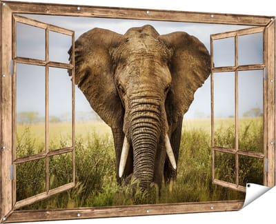Gards Tuinposter Safari Auto tussen de Zebra's - 60x40 cm - Tuindoek - Tuindecoratie - Wanddecoratie buiten - Tuinschilderij