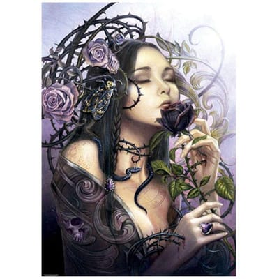 Diamant borduurwerk sexy heks 5D Diamond schilderij mozaïek foto handgemaakte Home Decor 20X30CM gray