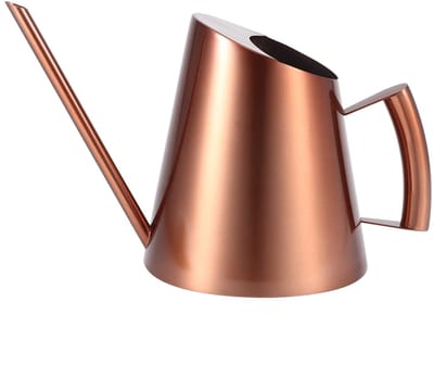Dailygoods- Gieter Roestvrij Staal - Waterkan - Tuingereedschap - Lang Mondstuk - Binnen/Buiten - Capaciteit 1500 ml