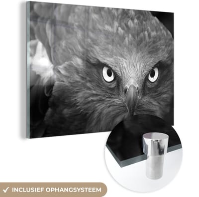 MuchoWow® Glasschilderij 60x40 cm - Schilderij acrylglas - Arend - Zwart - Wit - Foto op glas - Schilderijen