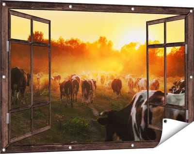 Gards Tuinposter Doorkijk Kudde Koeien in Weiland bij Zonsondergang - 120x80 cm - Tuindoek - Tuindecoratie - Wanddecoratie buiten - Tuinschilderij