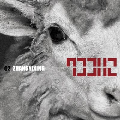 Lay 02 Sheep - Lay