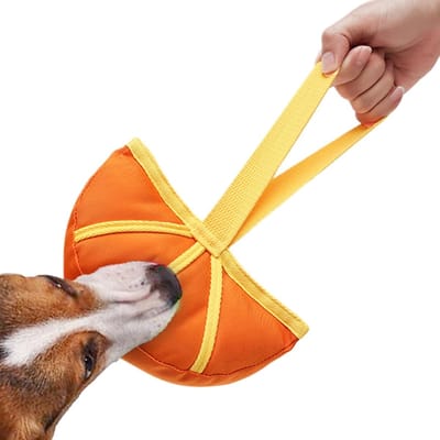 Interactief Snuffelspeelgoed - Honden Speelgoed - Hond Training - Wasbaar Ontwerp - 19 cm Lengte - Oranje