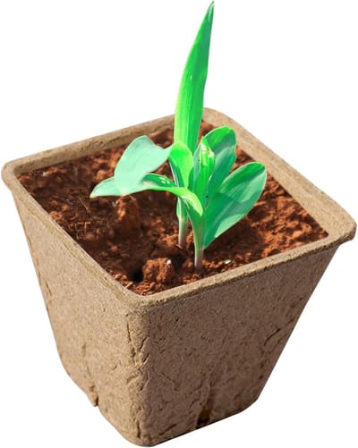 Plantenpotten Composteerbaar - Tuinpotten Zaaien - Plantenteelt Kieming - Ademende Wortelomgeving - 6 cm - Bruin