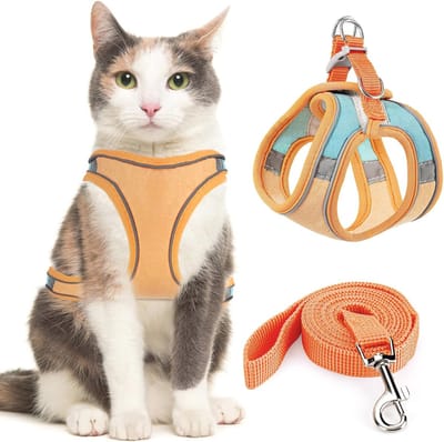 Kattenharnas met 1,5 m Riem | Verstelbaar, Reflecterend en Anti-Ontsnapping voor Kleine en Middelgrote Katten