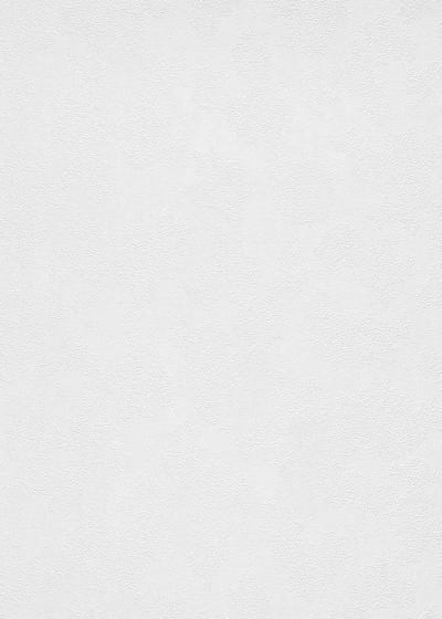 Erismann Vinylbehang 11035-01 - RollOver27 - Overschilderbaar Wit - 106cm x 25,00m