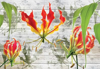 Fotobehang Flowers Floral | XL - 208cm x 146cm | 130g/m2 Vlies