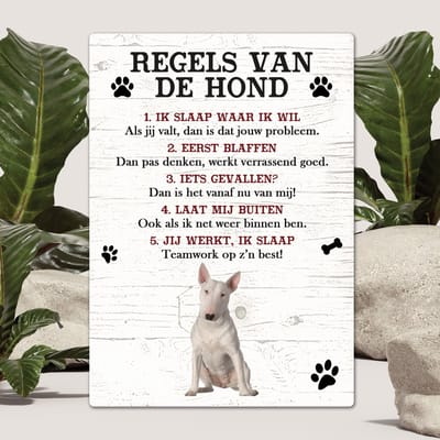Spreuken - Bull Terriër - Regels Van De Hond - Spreuken Bordjes - Spreukenbord - Tekstborden - Cadeau - Hondenras