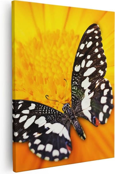 Artaza Canvas Schilderij Bloem Met Vlinder - 40x50 cm - Muurdecoratie Vlinders - Wanddecoratie Bloemen - Schilderijen Op Canvas