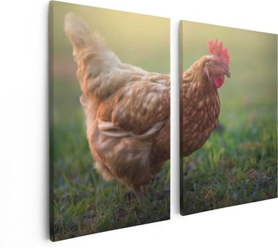 Artaza Canvas Schilderij Tweeluik Kip in het Gras - 80x60 - Foto Op Canvas - Canvas Print