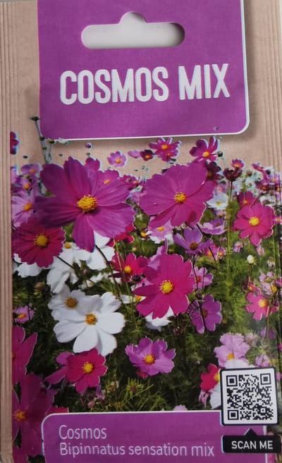 Bloemenzaden |Zaadjes Bloemen | Planten Tuin | Eenjarige Bloeiers - Cosmos Mix | Cosmos Bloemenmix