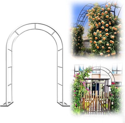Tuinboog Metaal - Prieel Planten - Decoratie Buiten - Roestwerende Coating - 35 x 25 m - Wit