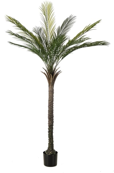Emerald - Kunstboom Palm UV 180cm - Kunstplant voor binnen