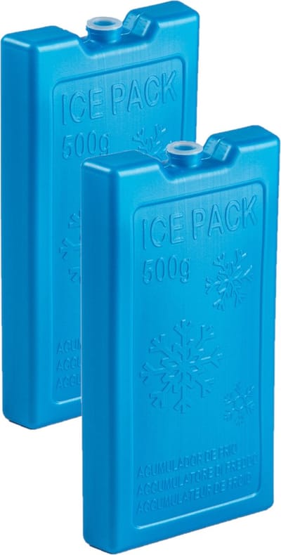 Plasticforte 500 grams koelelementen - 2x stuks - 20 x 10.5 x 2.5 cm - blauw - met sneeuwvlokken print