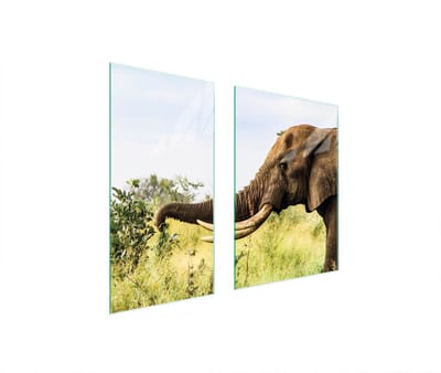 TMK ArtDeko - Snijplank - 75x52 cm - Glas - Sloonthema