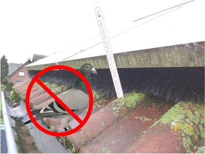 Zonnepaneel Borstels - Vogelwering PV - Dieren weren - Zonder gereedschap te monteren - 8-12 cm afstand - Zwart