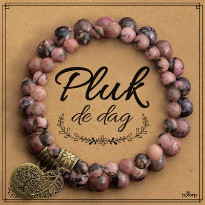 Bixorp Dubbele Matrix Rhodoniet Armbanden Set op Cadeau kaartje - Pluk de Dag - 18cm Edelsteen Kralenarmband - Inclusief Cadeau Envelop