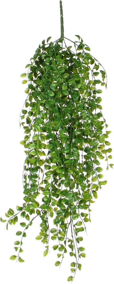 Ficus Kunst Hangplant - H81 cm - Groen
