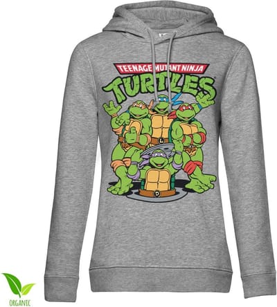 Teenage Mutant Ninja Turtles Group Girls-hoodie voor dames, heathergrijs