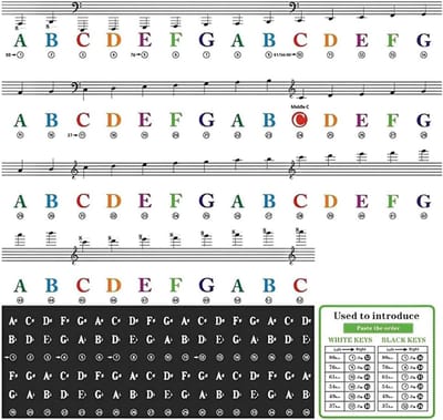 Pianotoets Stickers - Toetsenbord Notities - Muziek Leren - Herbruikbaar Verwijderbaar - 88 Toetsen - Transparant