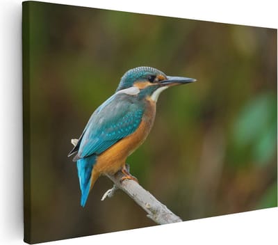 Artaza Canvas Schilderij Vogel - 30x20 cm - Klein - Wanddecoratie Dieren - Muurdecoratie IJsvogel - Kamer Accessoires
