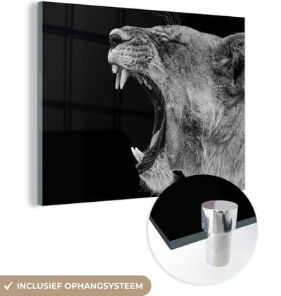 MuchoWow - Glasschilderij - Foto op glas - Dieren - Leeuw - Jungle - Zwart-wit - Wanddecoratie - 160x120 cm - Acrylglas - Muurdecoratie glas - Schilderij leeuw