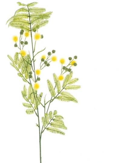Erutan avon - Mimosa spray Alice yellow 91 cm