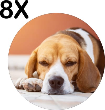 Luxe Ronde Placemat - Liggende Beagle Puppy - Set van 8 Placemats - 50x50 cm - 2 mm dik Vinyl - Anti Slip - Afneembaar