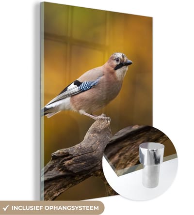 MuchoWow® Glasschilderij 30x40 cm - Schilderij acrylglas - Vogel - Tak - Vlaamse gaai - Foto op glas - Schilderijen