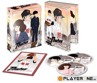 THEO OU LA BATTE DE LA VICTOIRE - Partie 1/4 Edit. Collector (9 DVD) - DVD - 3700093922247