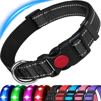 Verstelbare Reflecterende Hondenhalsband met Neopreen Padding voor Kleine, Medium en Grote Honden