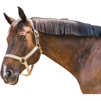 Kentucky Horsewear - Nylon halster Wellington beige Full