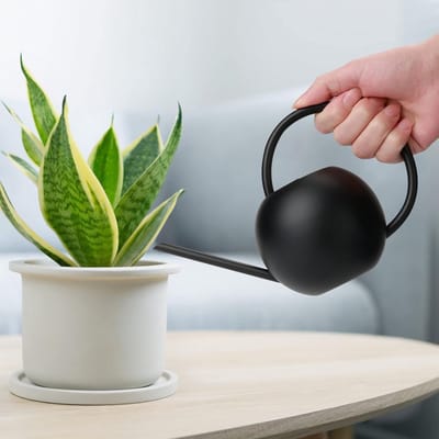 Lange Sprinkling Pot - Mini Gieter voor Indoor en Outdoor Gebruik - 400 ml Zwarte Metalen Gieter