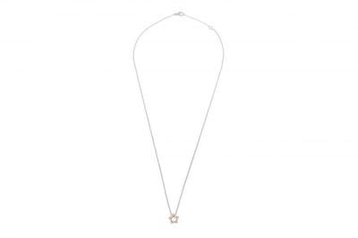 Collier met ster - witgoud/geelgoud - 14 karaat - diamant 0.07 crt totaal - lengte 42/45 cm - Gewicht 3.1 gram - €695,= voor €495,=