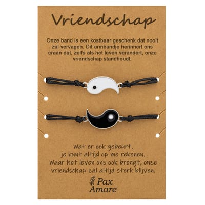 Vriendschapsarmbandjes voor 2 "Vriendschap" - Yin Yang - BFF Armbandjes met Cadeau Kaartje - Zilverkleurig - Elastisch Verstelbaar - Pax Amare