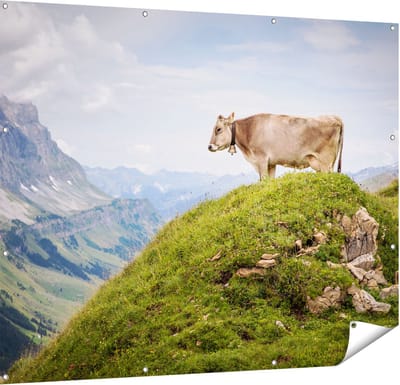 Gards Tuinposter Koe in de Bergen - 150x120 cm - Tuindoek - Tuindecoratie - Wanddecoratie buiten - Tuinschilderij